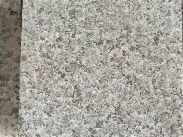 New 681 Shrimp Red Granite